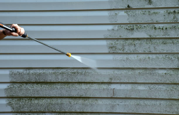 Best Roof Pressure Washing  in Groves, TX