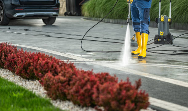 Best Local Pressure Washing Services  in Groves, TX